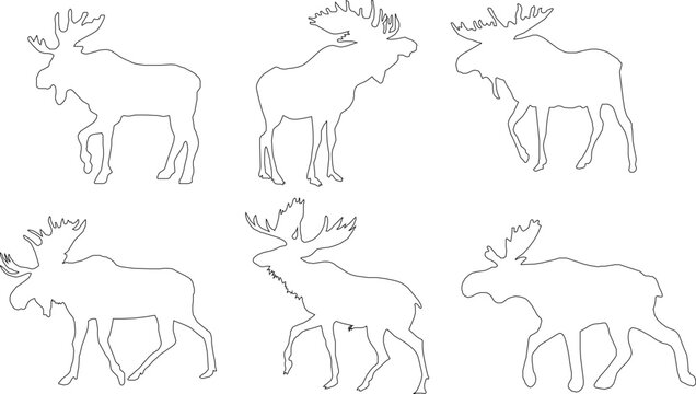Simple horned deer illustration vector sketch