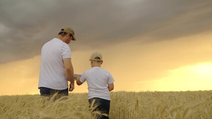 Father farmer working with digital tablet in wheat field with child, son. Happy family, father,...