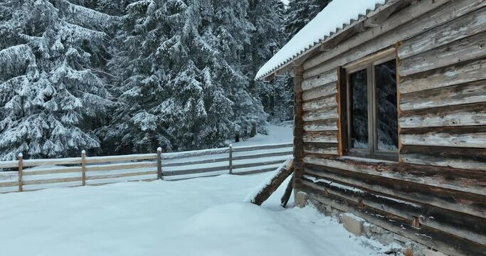 Splendid mountain winter landscape with secluded small wooden alpine cottage among the fir trees fully covered by snow during snow fall.