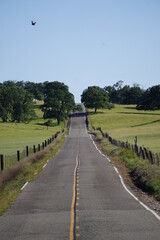 Road to Freedom