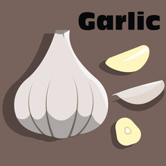 illustration of Garlic, garlic vector, for teacher, student college, businness , banner, flyer, brochure, power point , logo, poster, ads, and comercial use