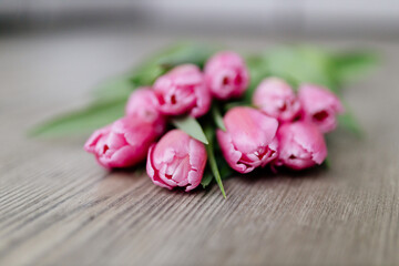 Pink tulips lie on a wooden surface. Spring background with flowers. Valentine's day card.