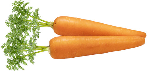 Fresh Carrot with leaf isolated on white background, Orange carrot on White Background With...