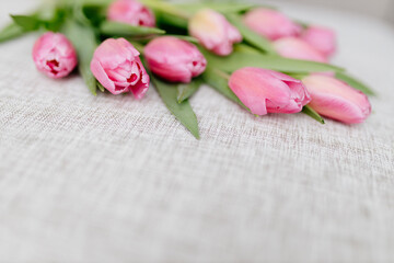 Bouquet of Pink fresh tulips lies on a beige fabric. Valentine's Day background