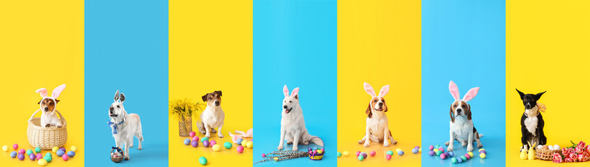 Set of dogs with Easter decor on color background