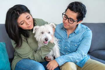 Happy gay couple sitting on sofa, positive people, with black hair in casual clothes sitting on blue couch and talking to each other in living room, embracing cute west highland white terrier.