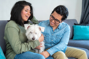 Happy gay couple sitting on sofa, positive people, with black hair in casual clothes sitting on blue couch and talking to each other in living room, embracing cute west highland white terrier.