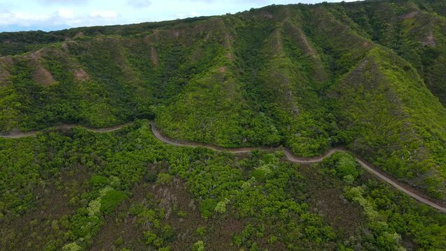 Aerial zoom in on huge mountain in Molokai Hawaii. Winding road in Halawa Valley. Lush greenery and trees in tropical paradise.