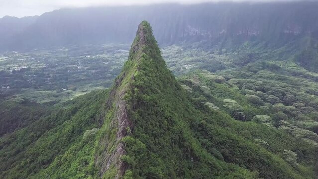 Koa tree and foliage covered mountain spine on Windward side of Oahu Hawaii with a hazy sky, Aerial dolly tilt up of Three Peaks Hiking trail, also known as Olomana.