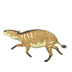 Eurohippus dinosaur isolated 3d render