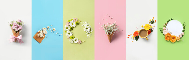 Collage of beautiful floral compositions on color background