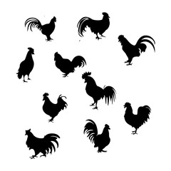 Vector set of rooster silhouette. Black and white icon of chicken poses. professional logo on white background