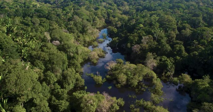 barco no rio da floresta amazonica no por do sol

