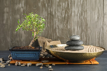 Bonsai tree, plate with sand and rocks on dark wooden background