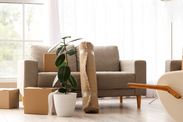 Cardboard boxes with sofa, houseplant and rolled carpet in living room on moving day