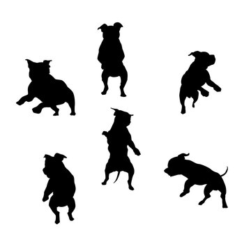 Silhouette of pitbull dog dynamic pose. vector set of the silhouette of hounds. black and white dog logo on white background.