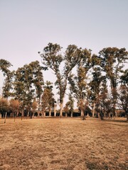 Processed with VSCO with a1 preset