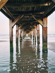 Fototapeta premium Processed with VSCO with a1 preset