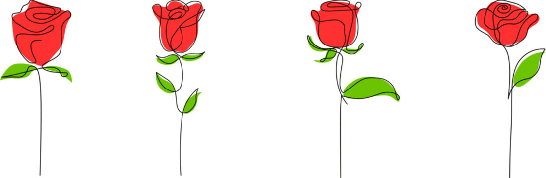 one single outline drawing of red roses in a row. Set of 4 Decorative beautiful english garden rose with bud and color spots. Minimalist hand drawn sketch for valentines day - Vector illustration.
