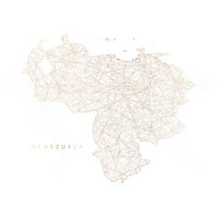 Low poly map of Venezuela. Gold polygonal wireframe. Glittering vector with gold particles on white background. Vector illustration eps 10.