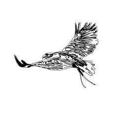 black and white sketch of a flying bird with transparent background