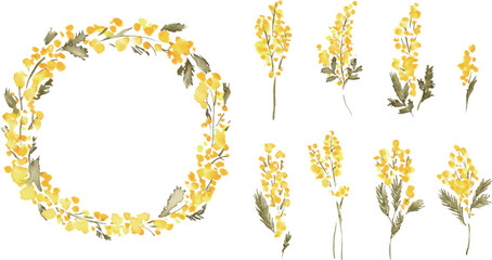 水彩画。水彩タッチのミモザベクターフレーム。水彩のミモザ装飾フレーム。Watercolor. Mimosa vector frame with watercolor touch. Mimosa decorative frame with watercolor.