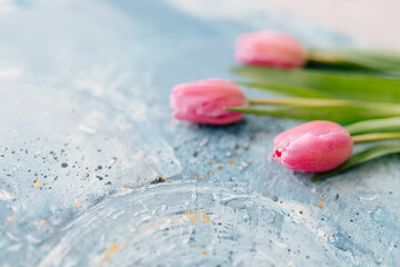 A bouquet of pink fresh tulips lies on a blue and turquoise scenic art background. Abstract blue art background. Fragment of artwork. Contemporary art. Oil paint Valentine's Day Background 