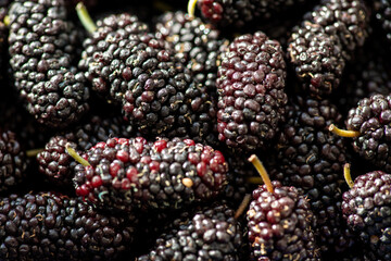 Macro close up shot of the mulberry fruit. Food background, healthy food