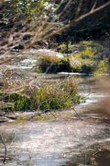 Frozen riverside shining ice suface, nature photography.