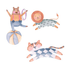 Circus bear with hoops on a ball, tiger and lion watercolor illustration. Hand drawn isolated on white background. Template for your design, Birthday cards, postcards, children's room.