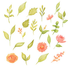 Flower and leaves watercolor illustrations isolated on white. Hand drawn pink rose and floral elements