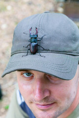 a large insect red book stag beetle crawls over a man on a summer day