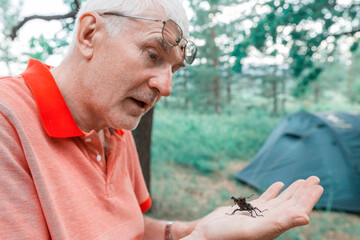 a large insect red book stag beetle crawls over a man on a summer day