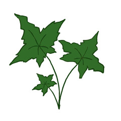 Green Leaf Illustration