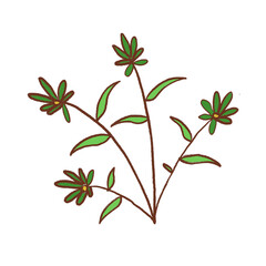 Green Leaf Illustration
