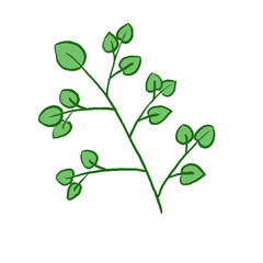 Obraz premium Green Leaf Illustration