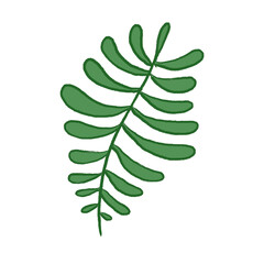 Green Leaf Illustration