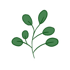 Green Leaf Illustration