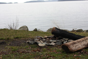 stump on the shore