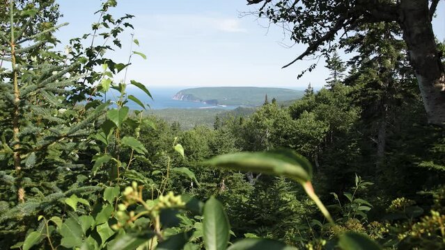 Looking out at the Cabot Trail, Nova Scotia - 4K