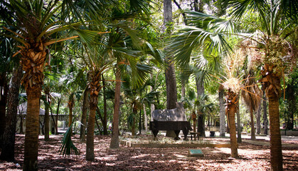 Piano in Los Caobos Park, Caracas, Venezuela