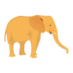 Wild African elephant realistic cartoon vector issolated on white background. Giant mammal cute with trunk illustration.
