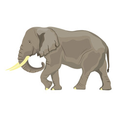 Obraz premium Wild African elephant realistic cartoon vector issolated on white background. Giant mammal cute with trunk illustration.
