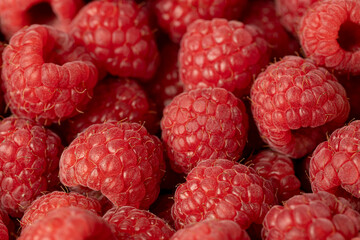 Juicy sweet bio raspberry close up.