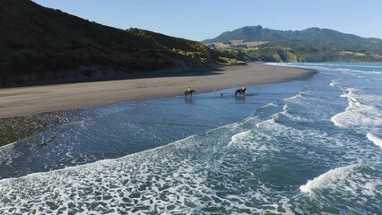 New Zealand horseback riding on the beach of Raglan, sightseeing on the coastline