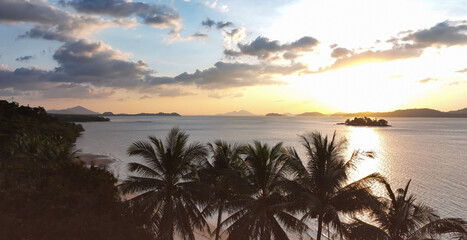 The holiday of Summer with colorful theme as palm trees background