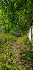 An abandoned, overgrown,neglected property with weeds growing next to the house.