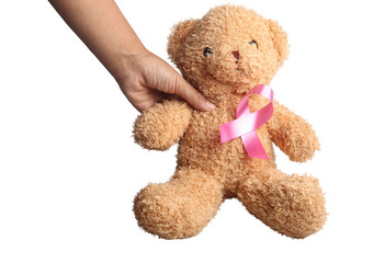 Hand holding teddy bear on white background.Isolated image.