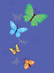 beauty butterflies flying