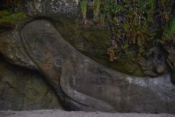 Obraz premium Whale Carved in Sandstone